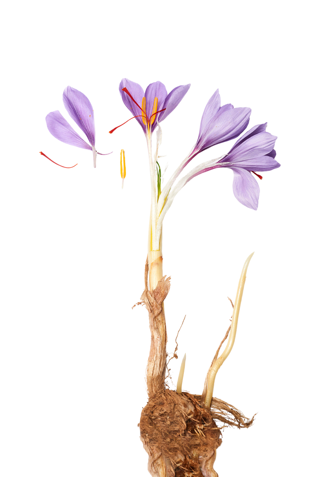 1d62ac56 0ccc 4688 8b1b f696980604a5